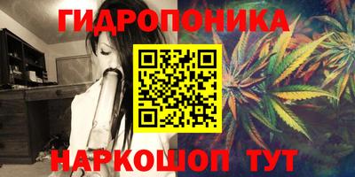 круглые Пушкино