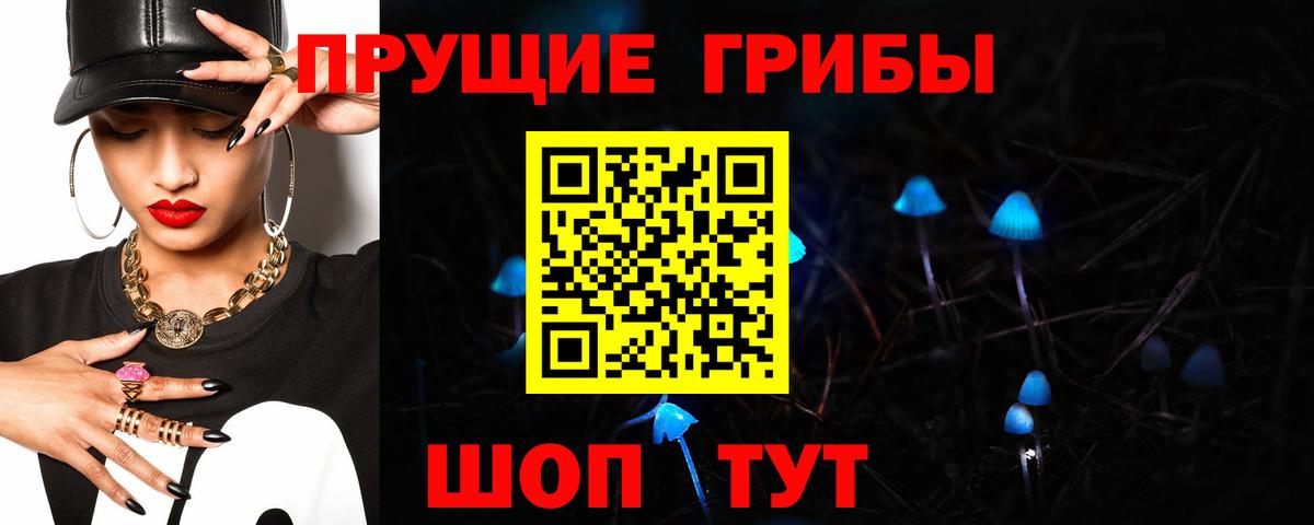 Галлюциногенные грибы Cubensis  Вход с VPN  Сертолово 